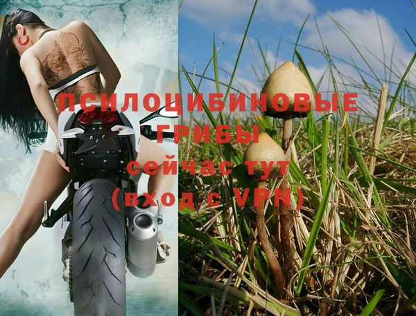 ГАЛЛЮЦИНОГЕННЫЕ ГРИБЫ Лабытнанги