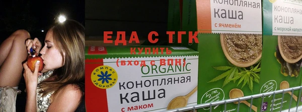 ГАЛЛЮЦИНОГЕННЫЕ ГРИБЫ Лабытнанги