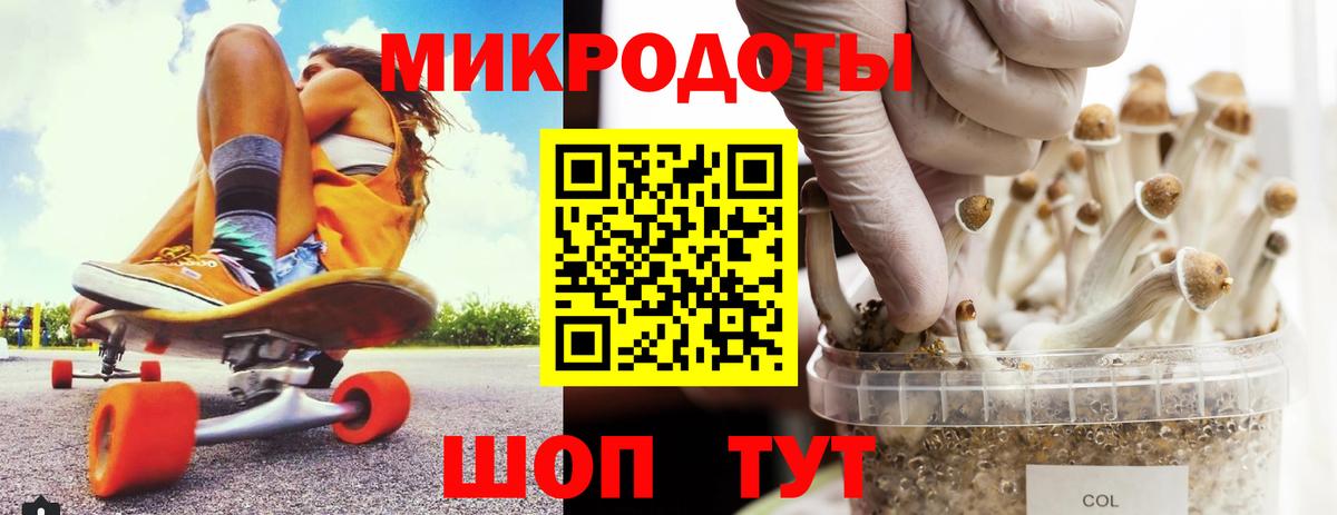 Галлюциногенные грибы Psilocybine cubensis Йошкар-Ола